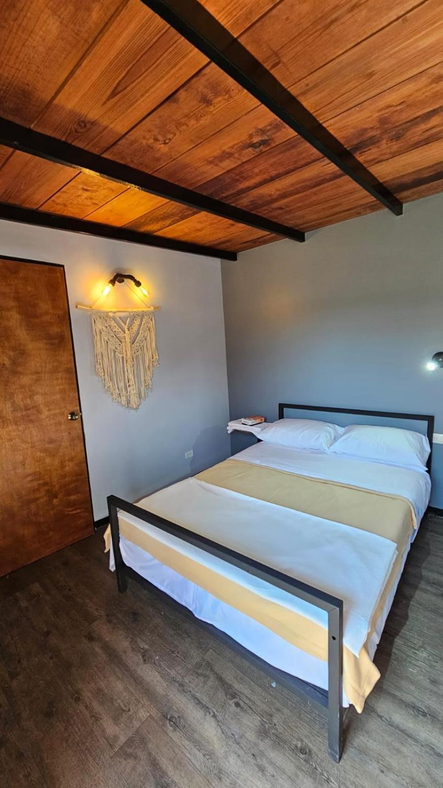 Hostel Casa Columpio Meksyk Zewnętrze zdjęcie